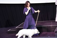 北香那が犬の風（ふう）を連れて来る様子。