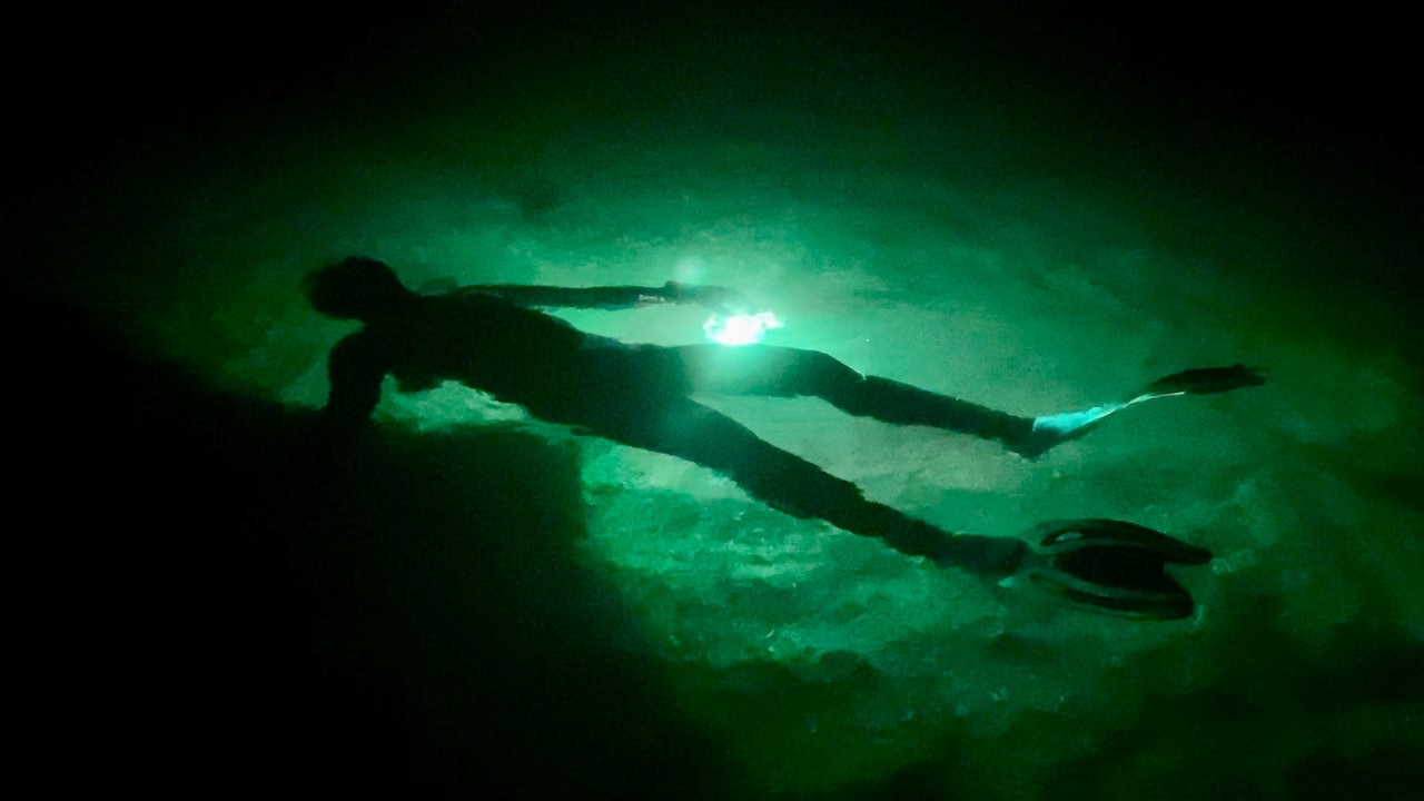 吉開菜央×仲本拡史「ナイト・シュノーケリング」スイスの映画祭でプレミア上映