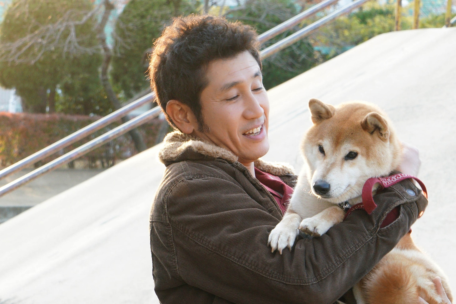 映画「柴公園」