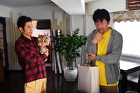 映画「柴公園」