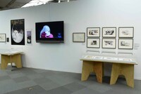 「天使のたまご」のコーナー。