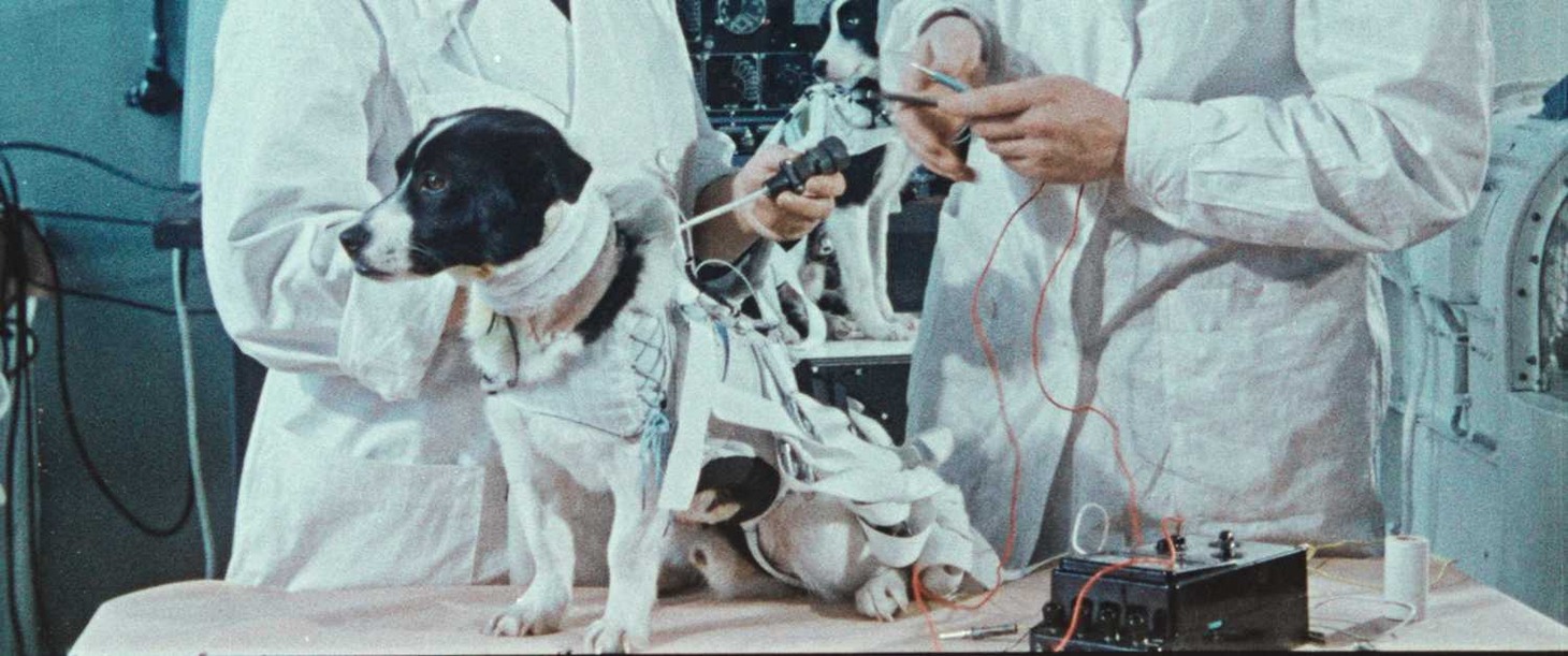「犬は歌わない」