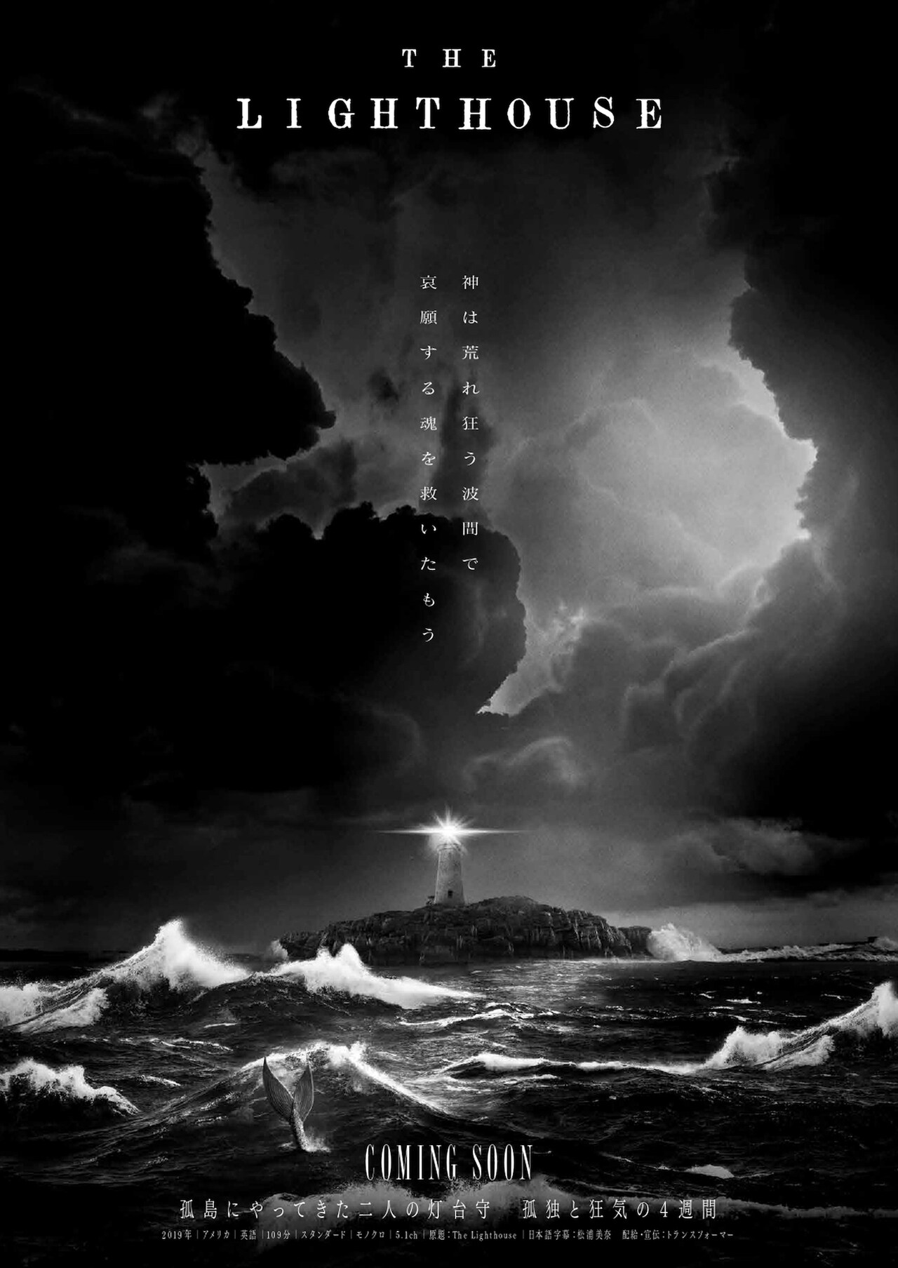 「ライトハウス」チラシ（通常時）