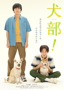 「犬部!」ティザービジュアル