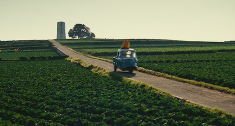 「稲村ジェーン」