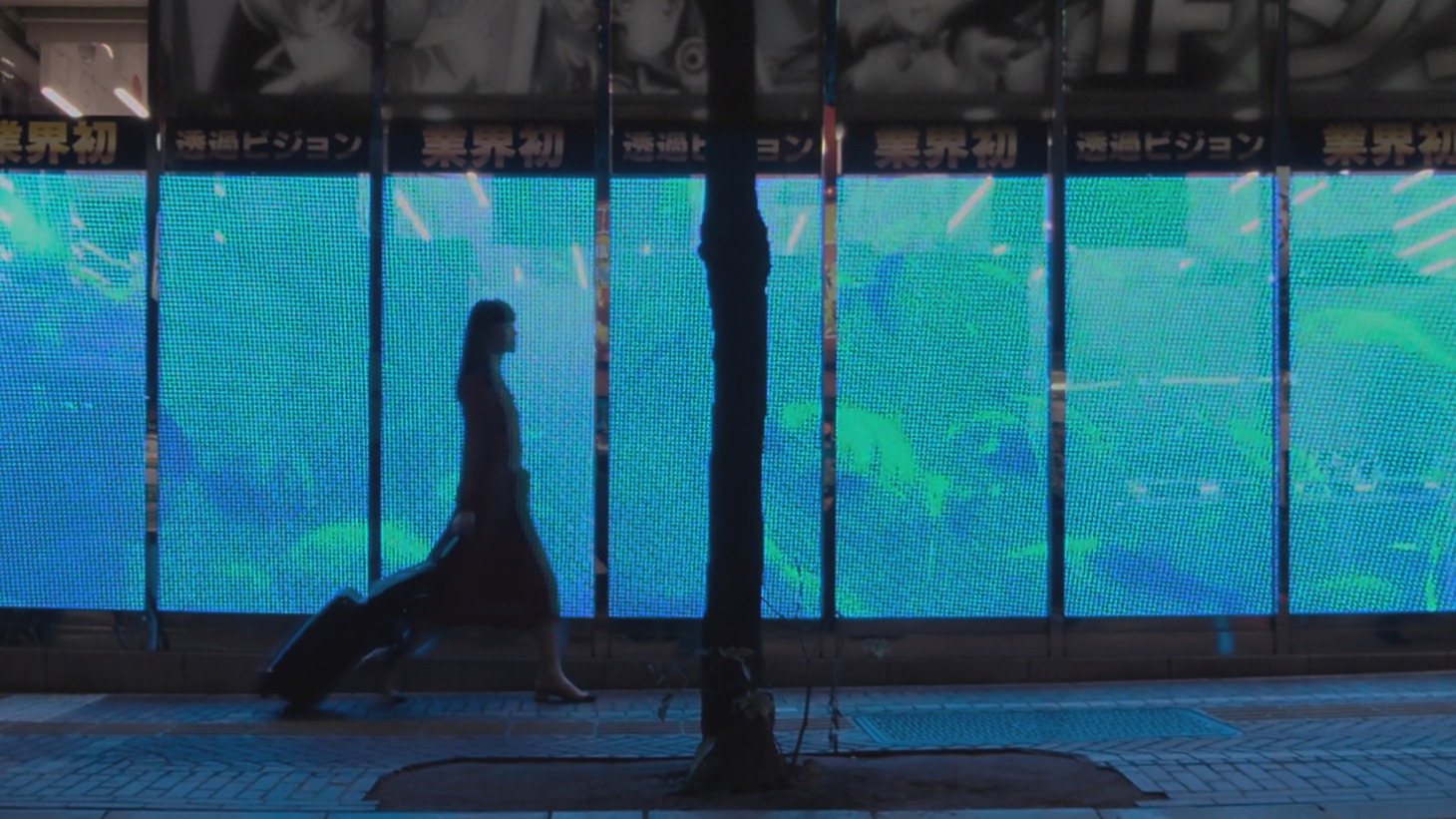 「片袖の魚」