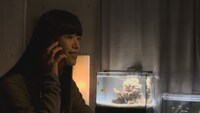 「片袖の魚」