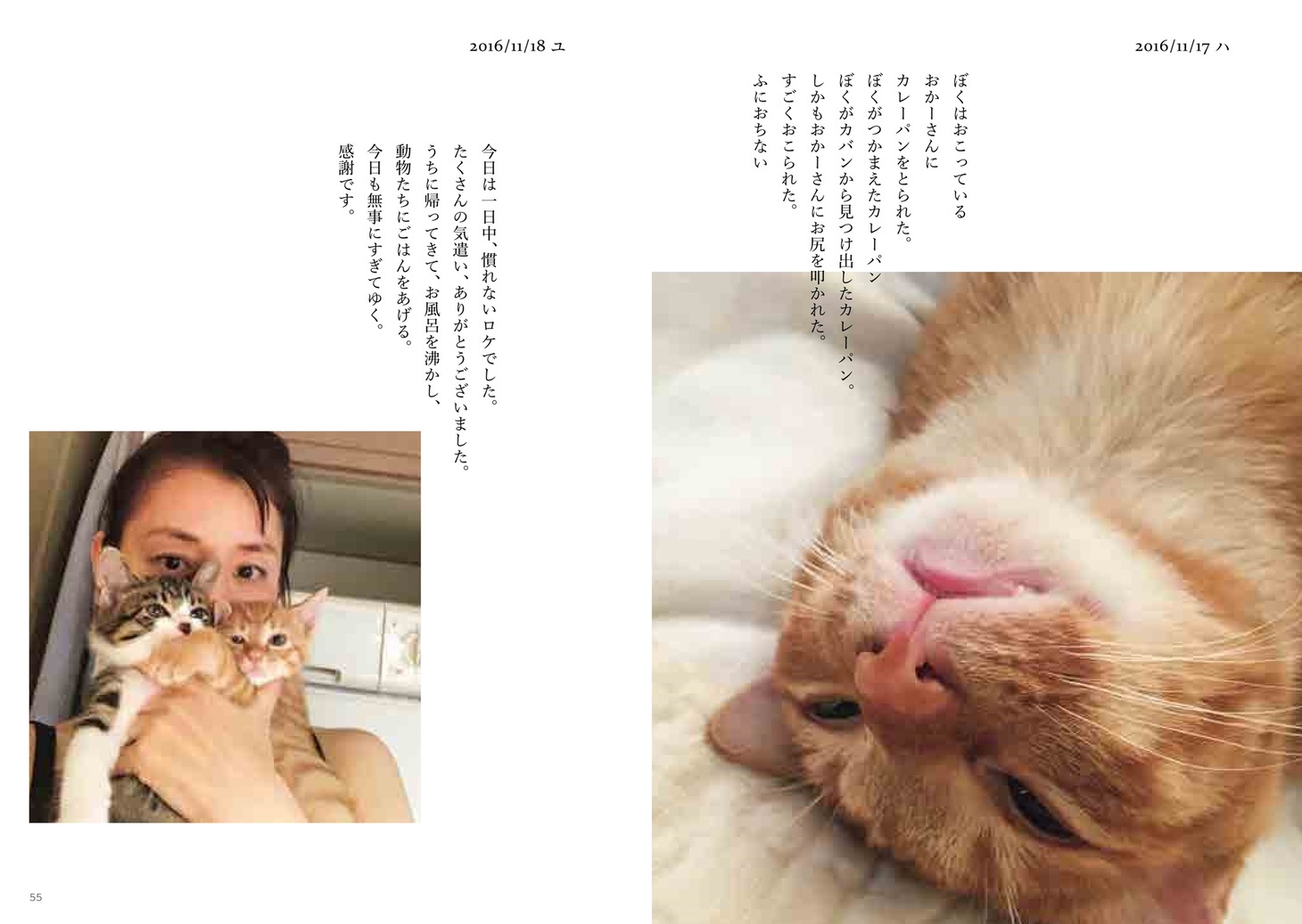 「ハニオ日記 I 2016-2017」中面