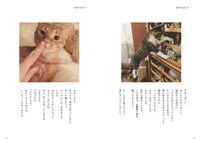 「ハニオ日記 I 2016-2017」中面