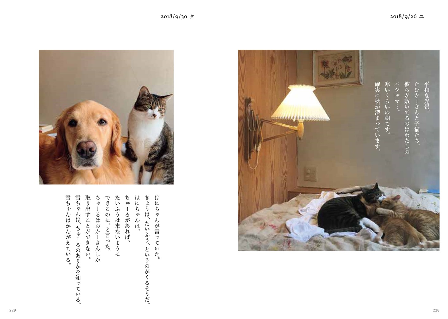 「ハニオ日記 II 2018-2019」中面