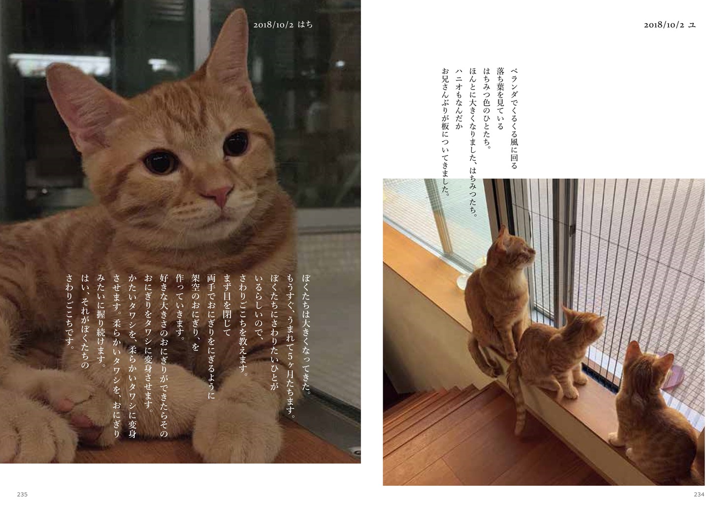 「ハニオ日記 II 2018-2019」中面