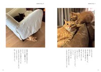 「ハニオ日記 III 2019-2021」中面