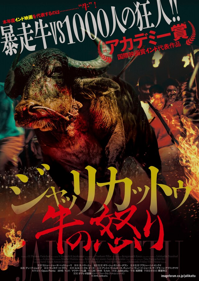 「ジャッリカットゥ 牛の怒り」日本版ポスタービジュアル