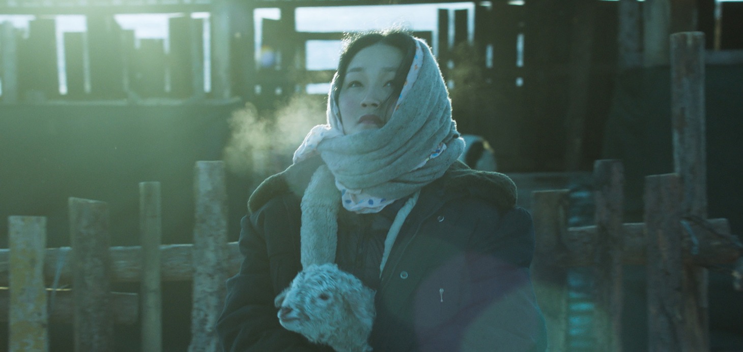 「大地と白い雲」