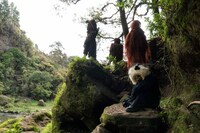 「スイート・トゥース：鹿の角を持つ少年」