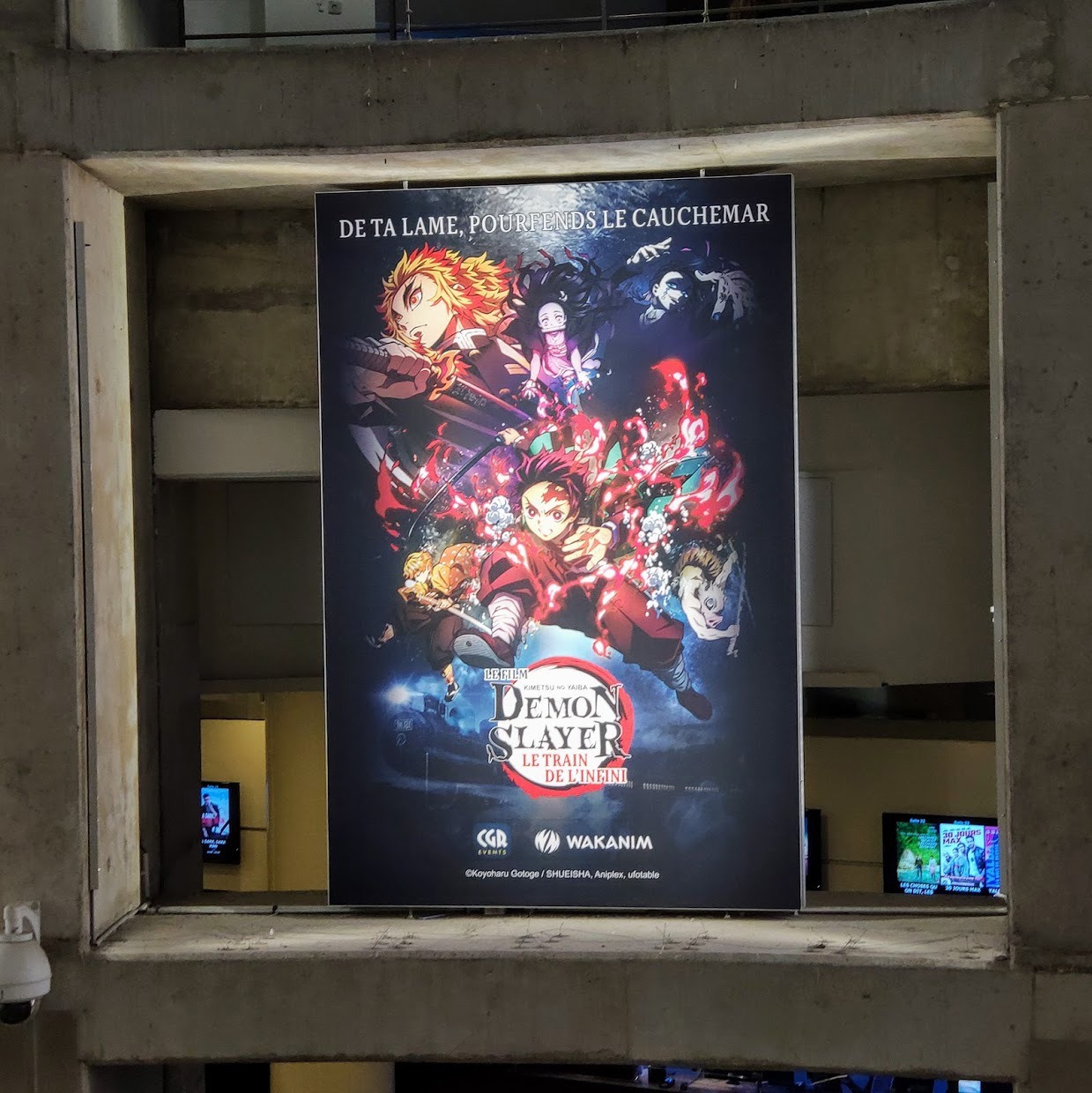 フランス版ポスター。