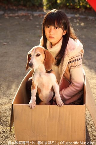 「春のまぼろし」