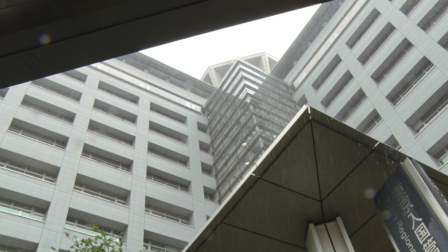 「東京クルド」