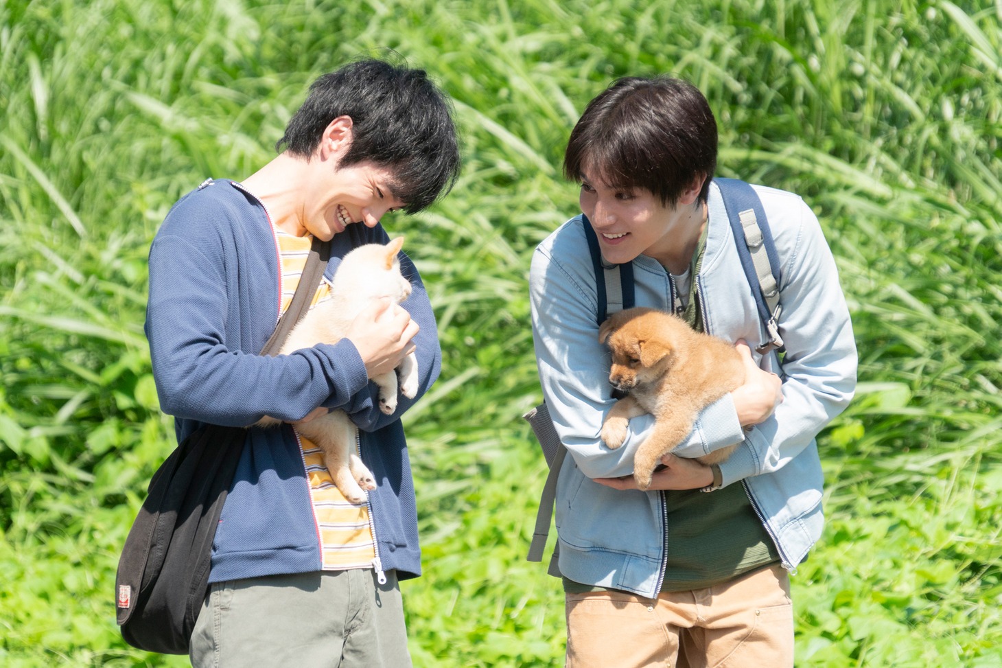 「犬部！」