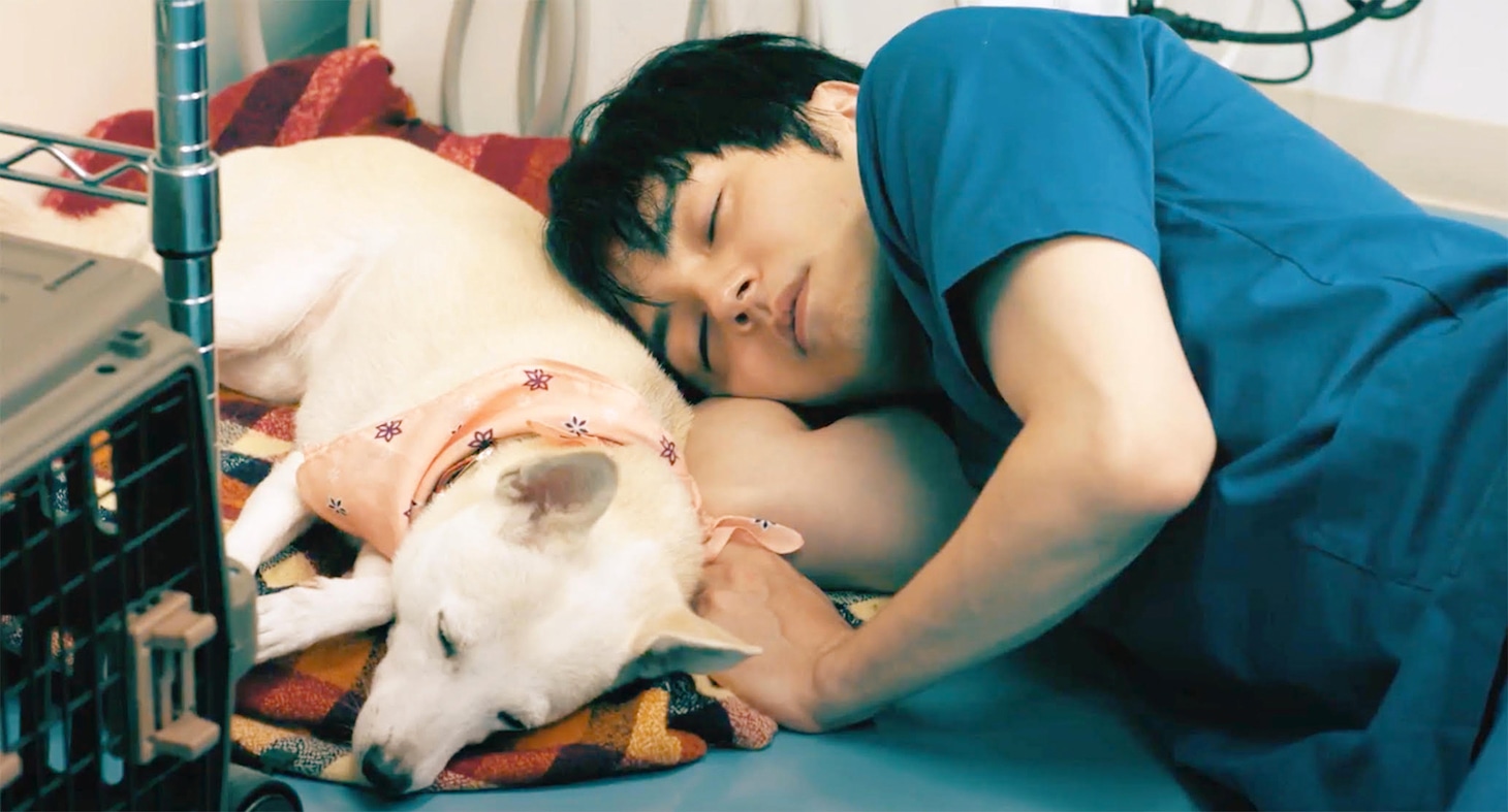 「犬部！」