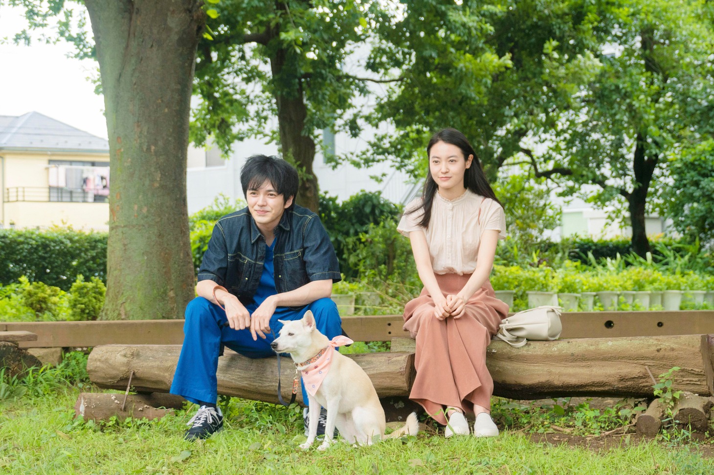 「犬部！」