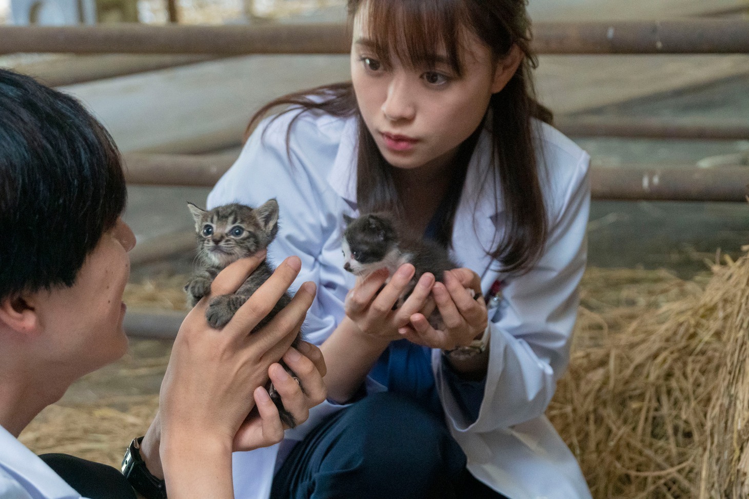「犬部！」