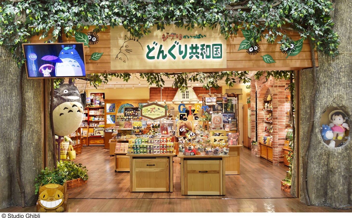 どんぐり共和国の店舗。