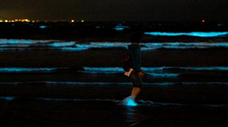 「発酵する民」