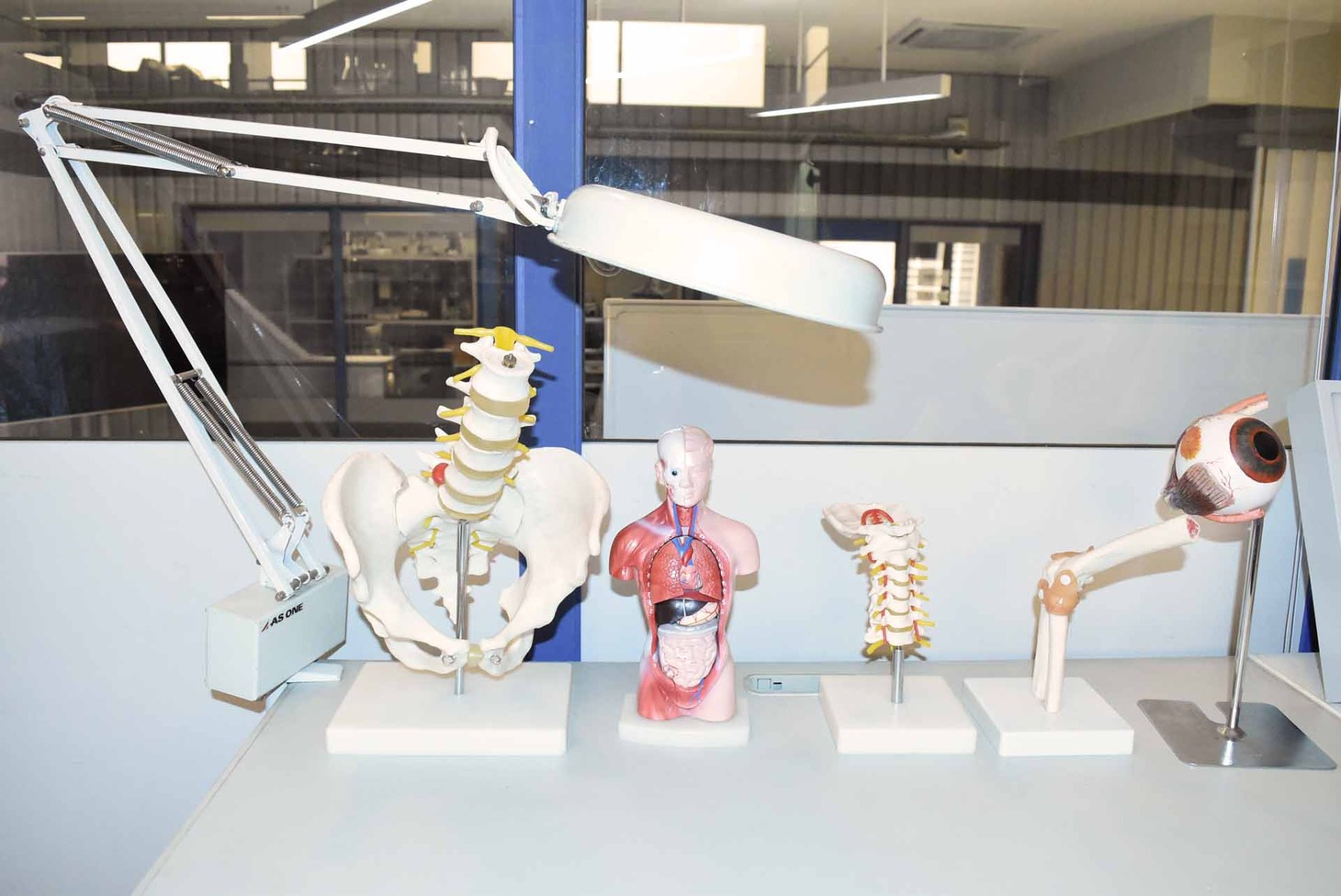 法医学研究室の様子。