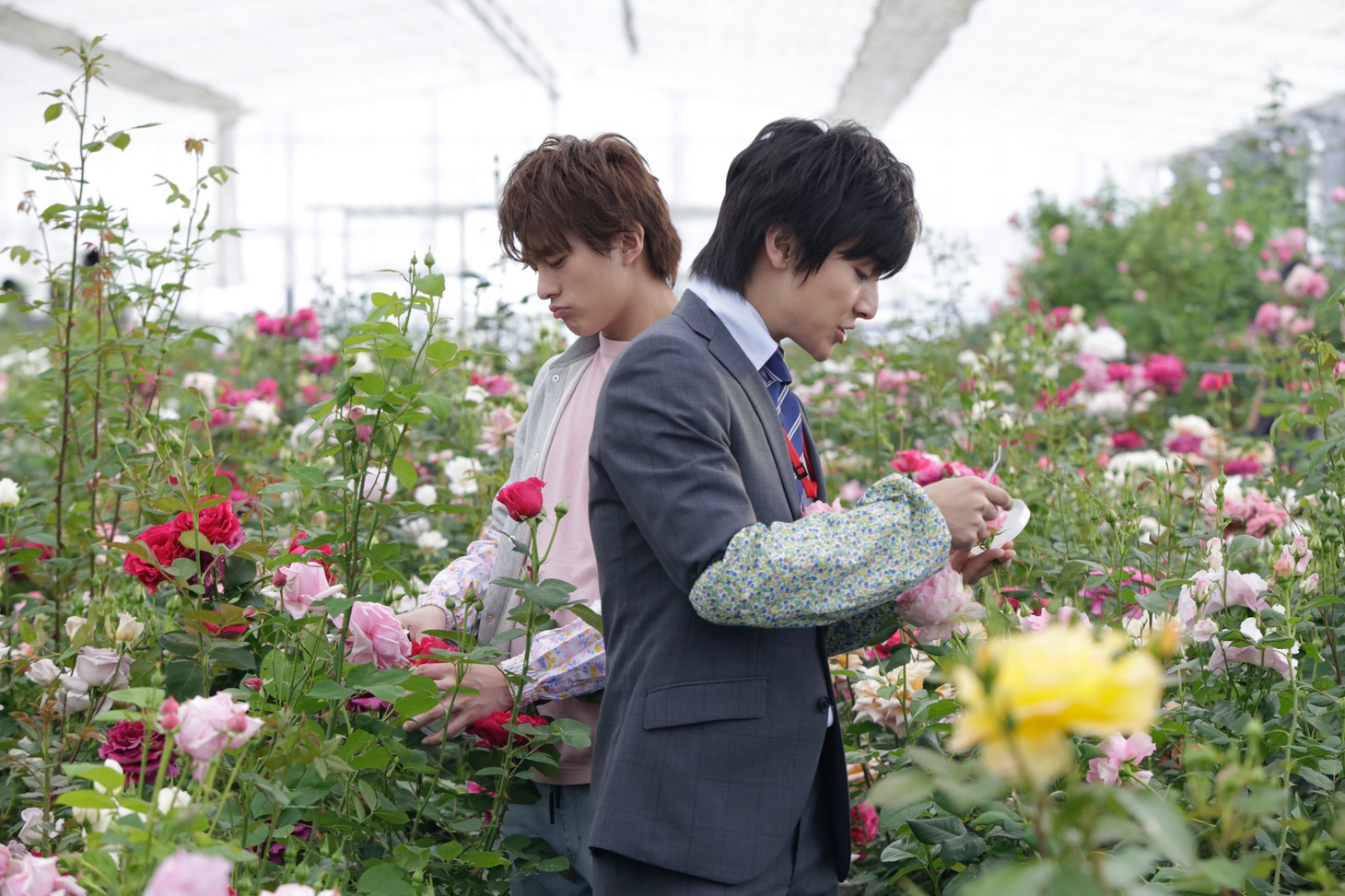 「ブルーヘブンを君に」新場面写真