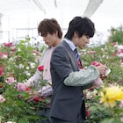 「ブルーヘブン」ボイメン小林&本田がバラに囲まれる、田村の登場シーンも明らかに