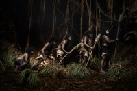 「ジャッリカットゥ 牛の怒り」