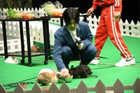 ウサギに餌を与える千葉雄大。