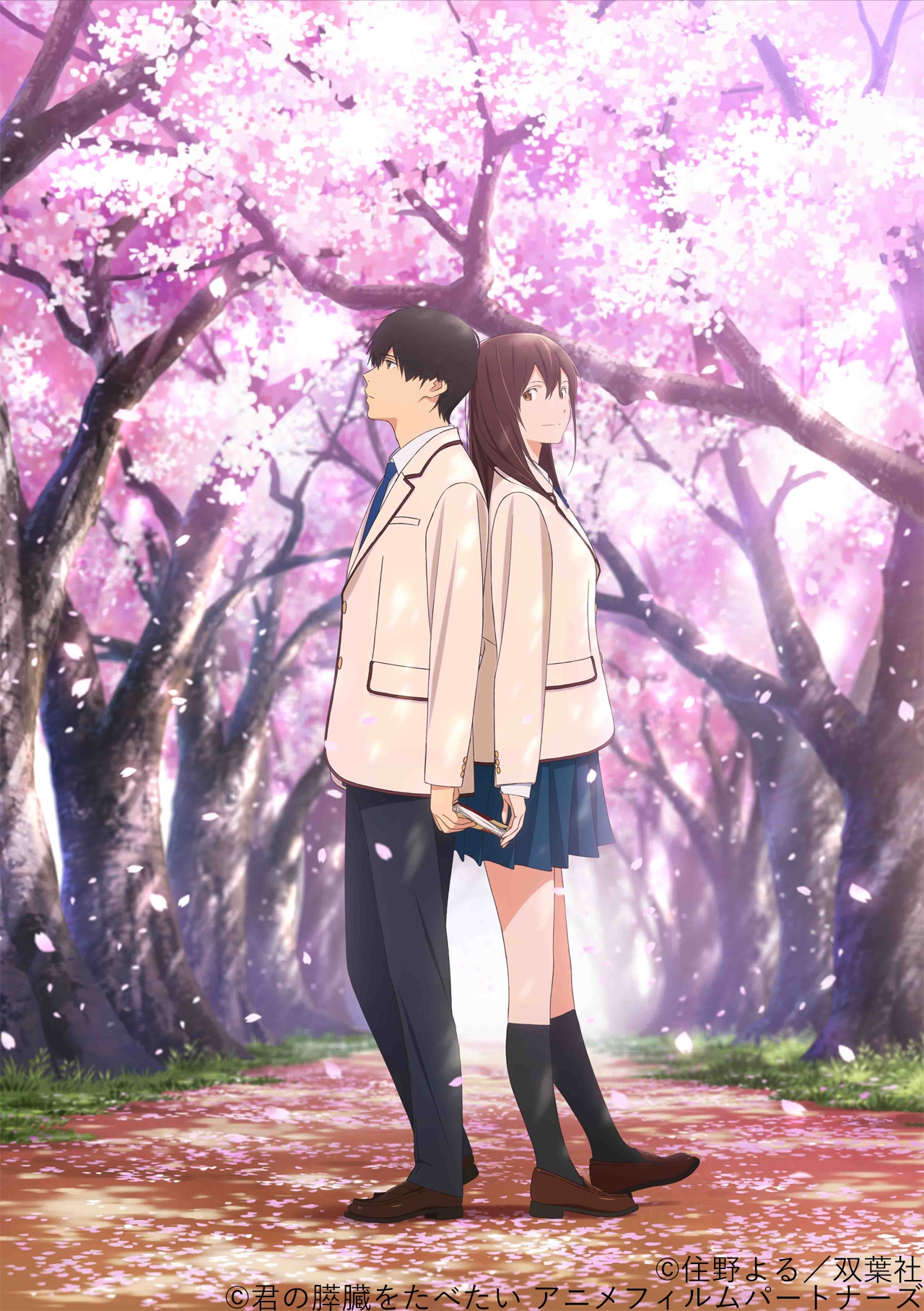 「君の膵臓をたべたい」ビジュアル