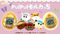 「PUI PUI モルカっち」ビジュアル