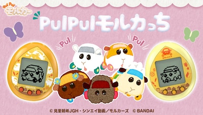 「PUI PUI モルカっち」ビジュアル