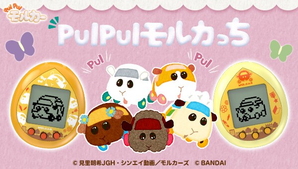 「PUI PUI モルカっち」ビジュアル