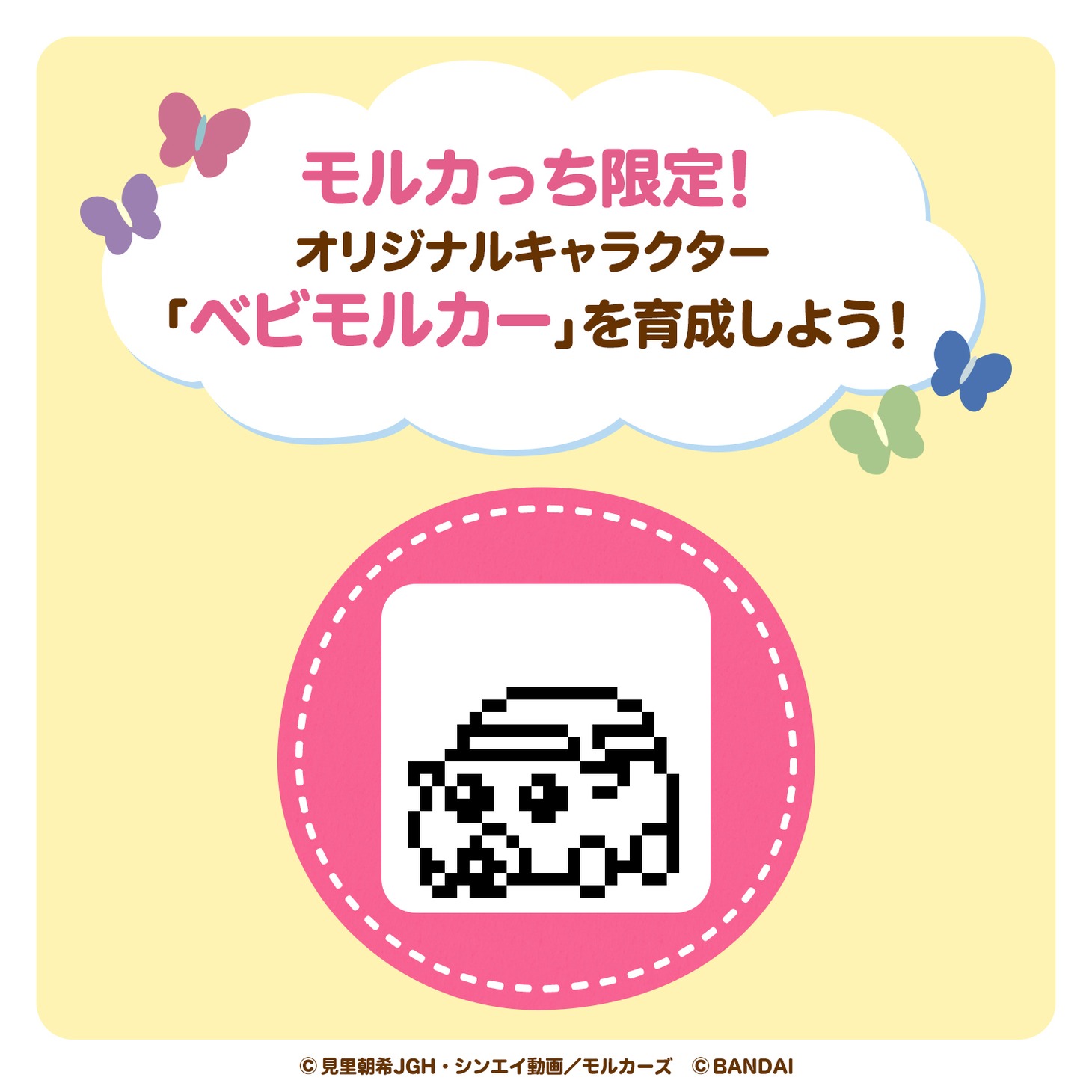 「PUI PUI モルカっち」