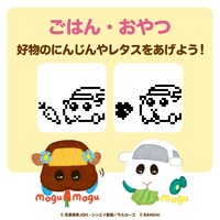 「PUI PUI モルカっち」