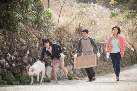 「しあわせまでの距離」