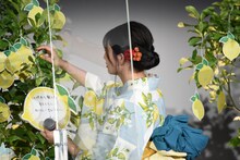 願いごとをレモンの木にくくる吉川愛。