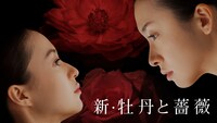 「新・牡丹と薔薇」ビジュアル (c)中島丈博 (c)東海テレビ/ビデオフォーカス