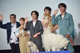 「犬部！」完成披露イベントの様子。左から篠原哲雄、大原櫻子、林遣都、中川大志、浅香航大。