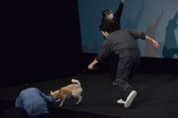 ちえに振り回される林遣都。