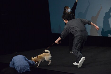 ちえに振り回される林遣都。