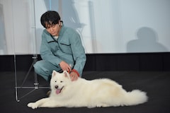 犬部 林遣都 中川大志がバディ犬と登場 戸惑う犬に林 俺のほうが緊張してる 写真17枚 映画ナタリー