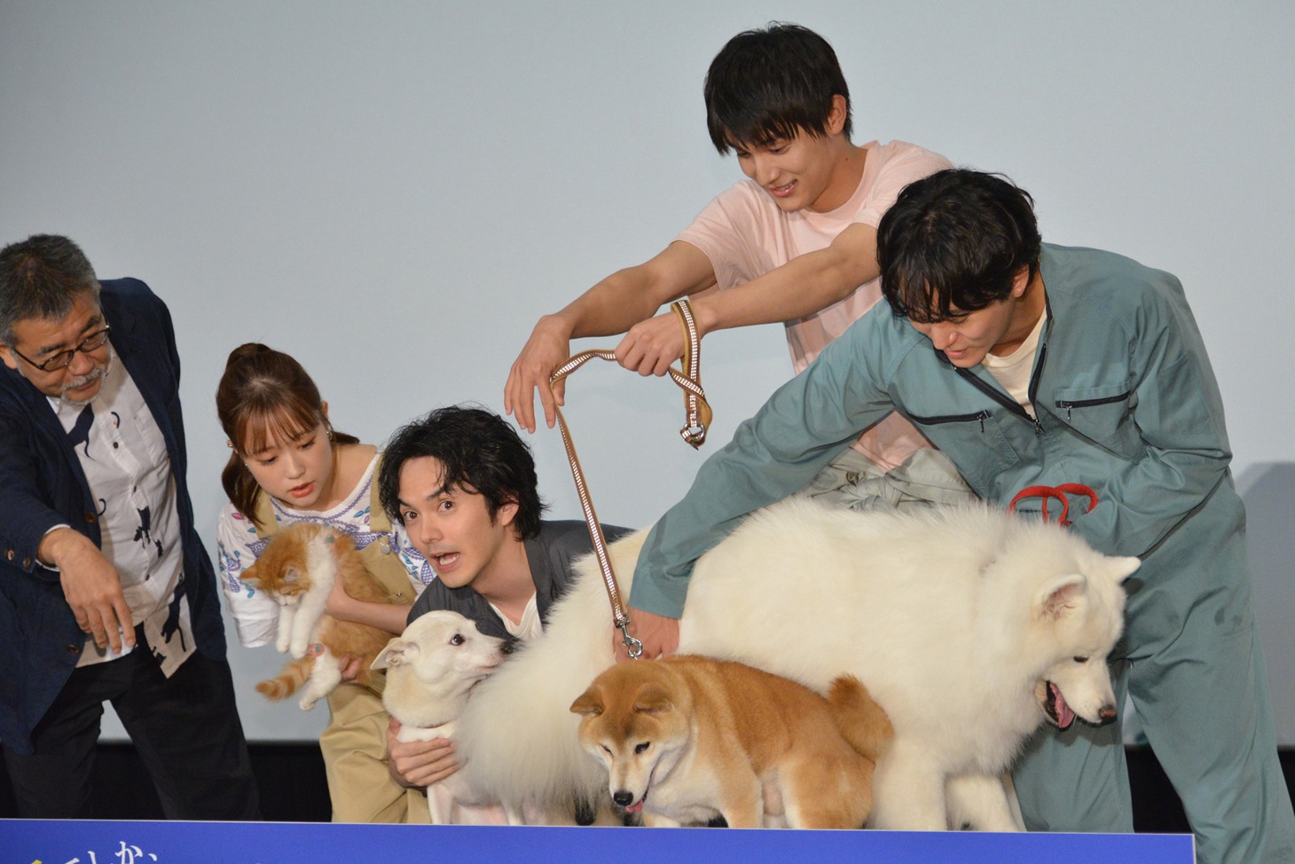 「犬部！」完成披露イベントの様子。