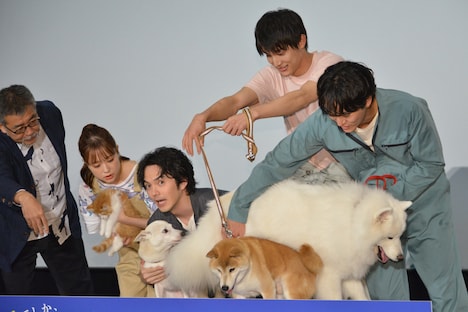 「犬部!」完成披露イベントの様子。