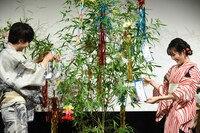 短冊を笹に付ける鈴鹿央士（左）と秋田汐梨（右）。