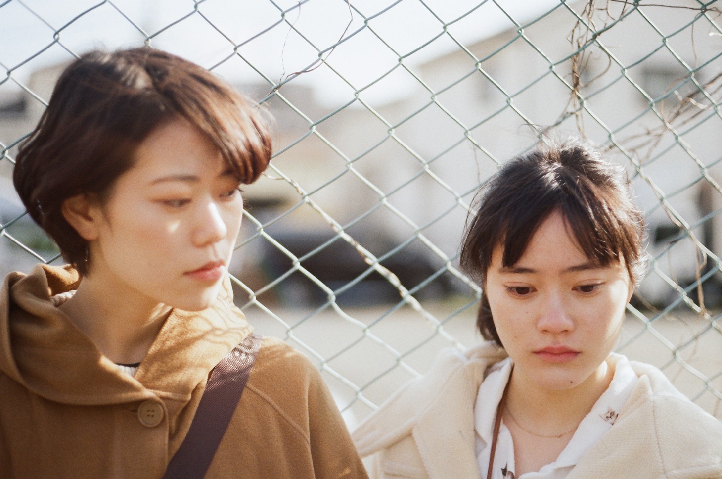 「新しい風」